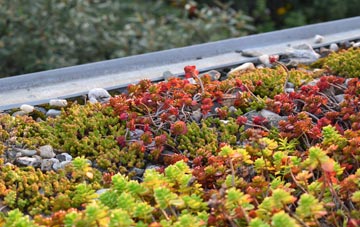 the cost of Pollington green roof installation